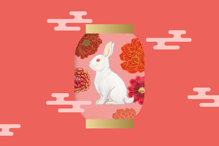 Chinese New Year Rabbit Celebration Instagram Template