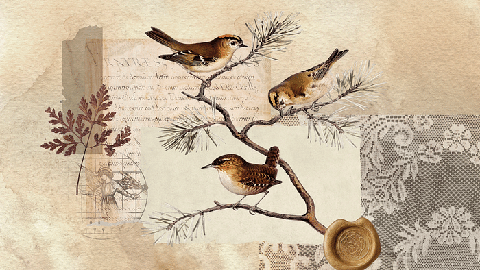 Autumn bird collage background, nature